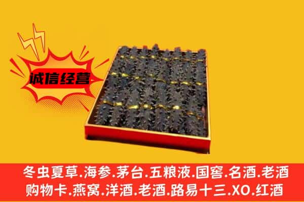 河源市龙川回收海参